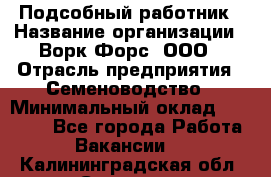 Подсобный работник › Название организации ­ Ворк Форс, ООО › Отрасль предприятия ­ Семеноводство › Минимальный оклад ­ 30 000 - Все города Работа » Вакансии   . Калининградская обл.,Советск г.